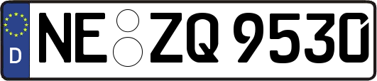 NE-ZQ9530