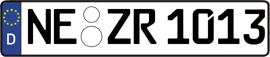 NE-ZR1013