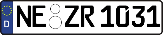 NE-ZR1031