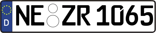 NE-ZR1065