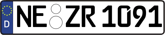 NE-ZR1091