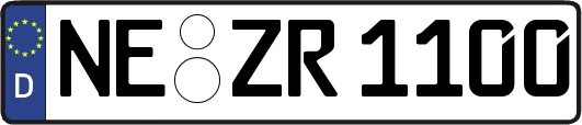 NE-ZR1100
