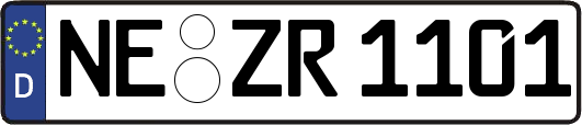 NE-ZR1101