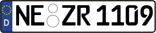 NE-ZR1109