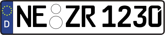 NE-ZR1230