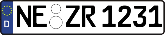 NE-ZR1231