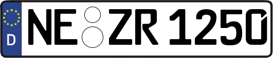 NE-ZR1250