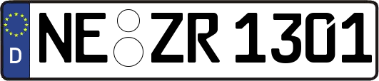 NE-ZR1301