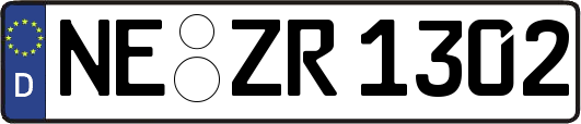 NE-ZR1302