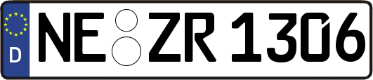NE-ZR1306