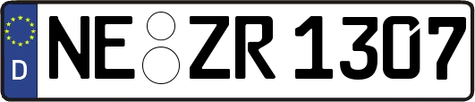NE-ZR1307