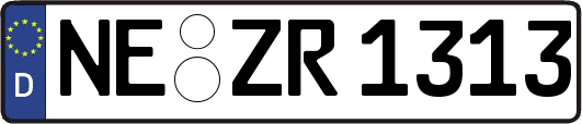 NE-ZR1313