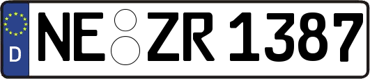 NE-ZR1387
