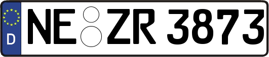 NE-ZR3873