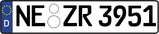 NE-ZR3951