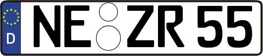 NE-ZR55