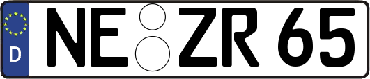 NE-ZR65