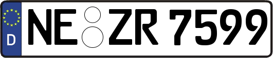 NE-ZR7599