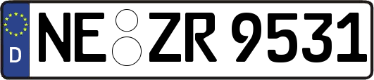 NE-ZR9531