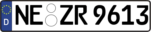 NE-ZR9613