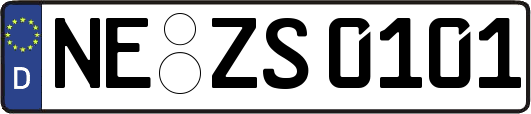 NE-ZS0101