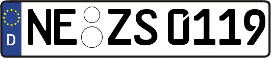 NE-ZS0119