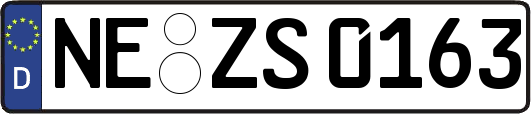 NE-ZS0163