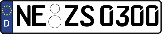 NE-ZS0300