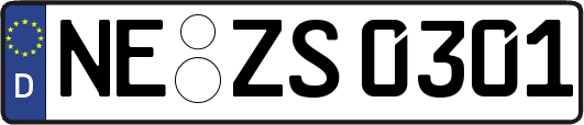 NE-ZS0301