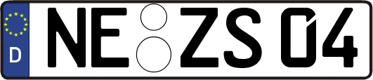 NE-ZS04