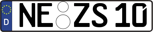 NE-ZS10