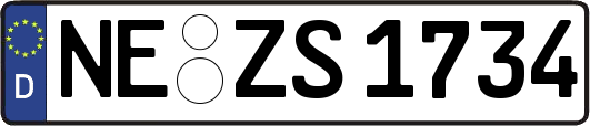 NE-ZS1734