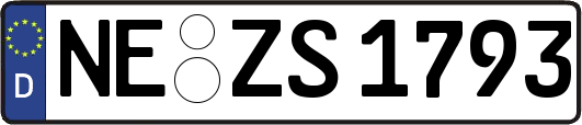 NE-ZS1793