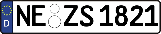NE-ZS1821