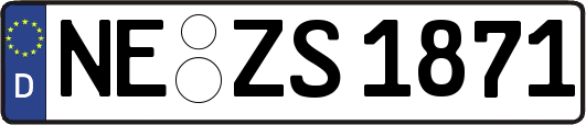 NE-ZS1871