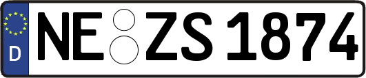 NE-ZS1874