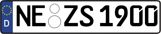 NE-ZS1900