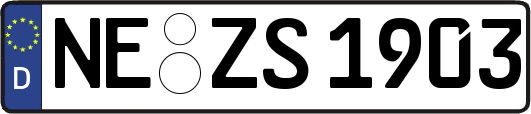 NE-ZS1903