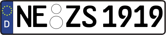 NE-ZS1919