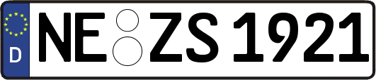 NE-ZS1921