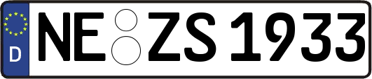 NE-ZS1933
