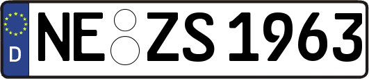 NE-ZS1963