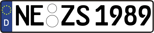 NE-ZS1989