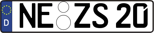 NE-ZS20