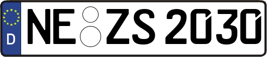 NE-ZS2030