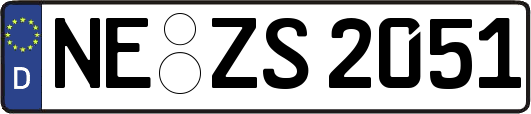 NE-ZS2051