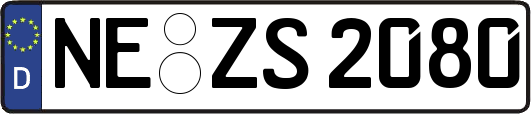 NE-ZS2080