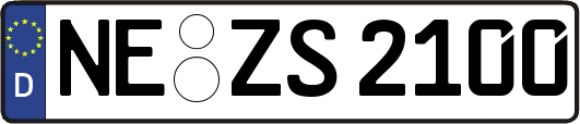 NE-ZS2100