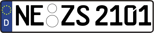 NE-ZS2101
