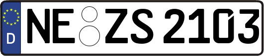 NE-ZS2103
